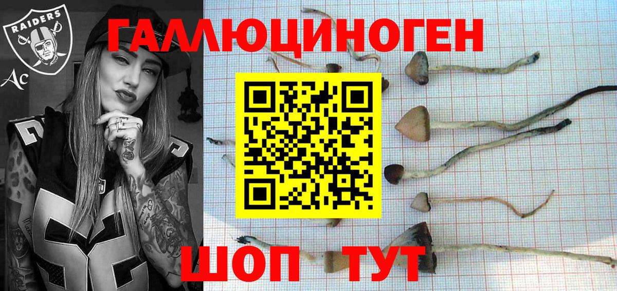Галлюциногенные грибы GOLDEN TEACHER Лабытнанги