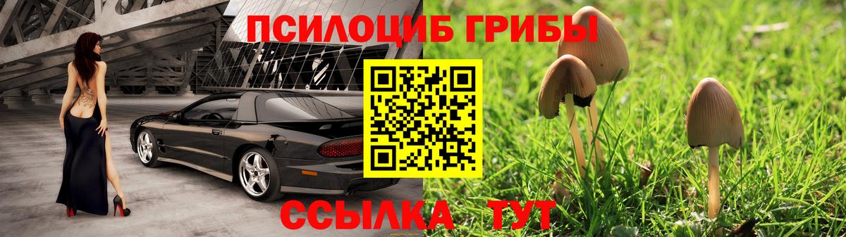 Лабытнанги  Галлюциногенные грибы GOLDEN TEACHER  Галлюциногенные грибы прущие грибы  Вход с VPN 